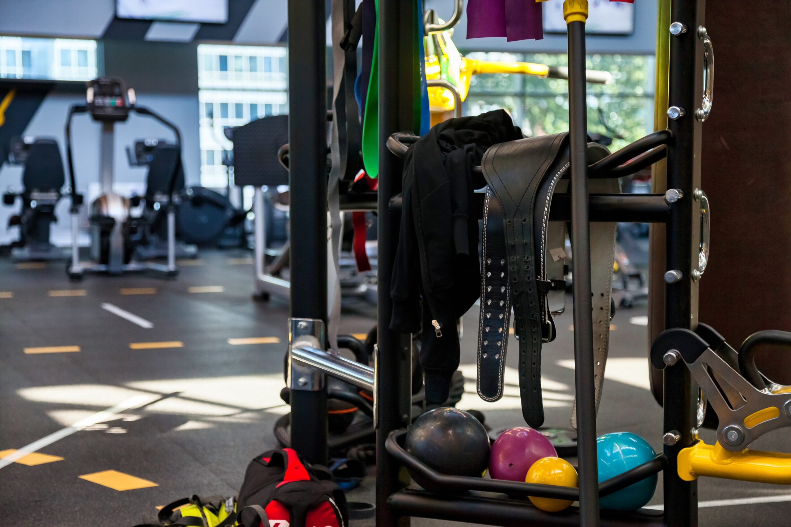 Modern gym interior with sports training equipment on rack, no people